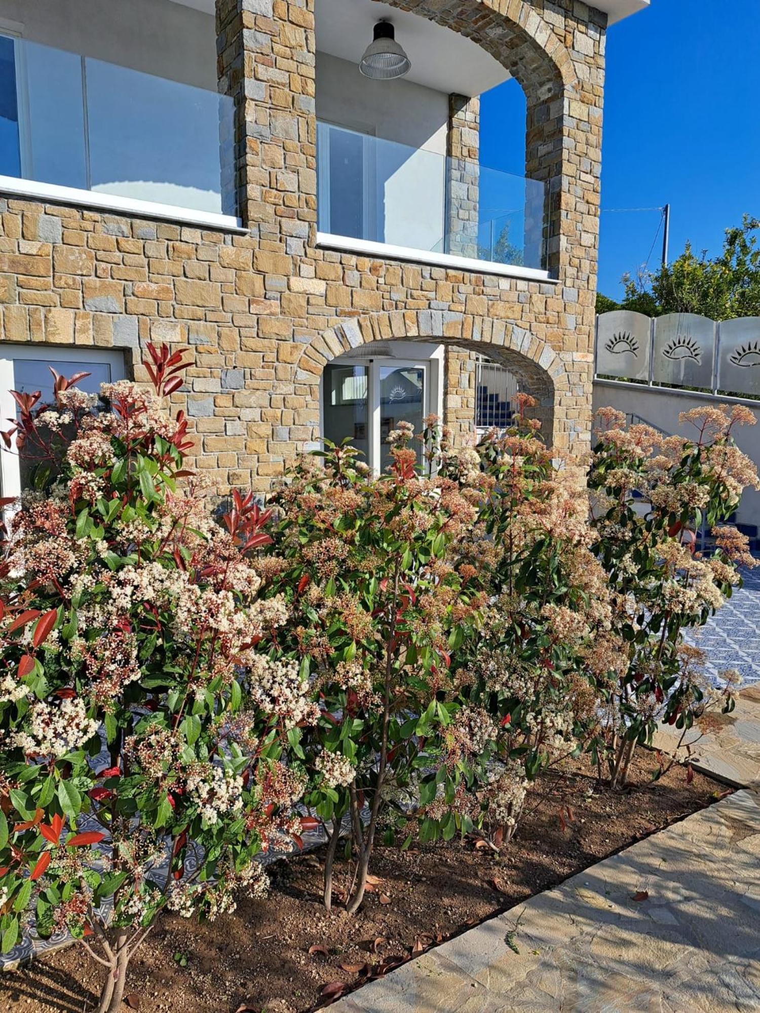 Paoma Bed and Breakfast Agropoli Exteriör bild